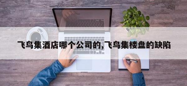 飞鸟集酒店哪个公司的,飞鸟集楼盘的缺陷